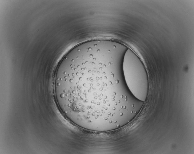 X0000090930851200707301113