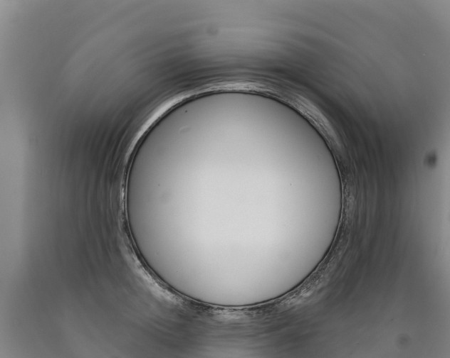 X0000090930852200707301113