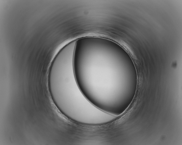 X0000090930854200707301113