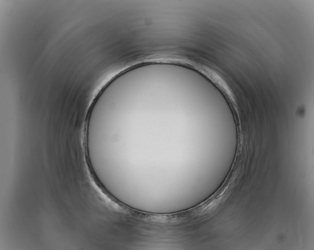 X0000090930855200707301113