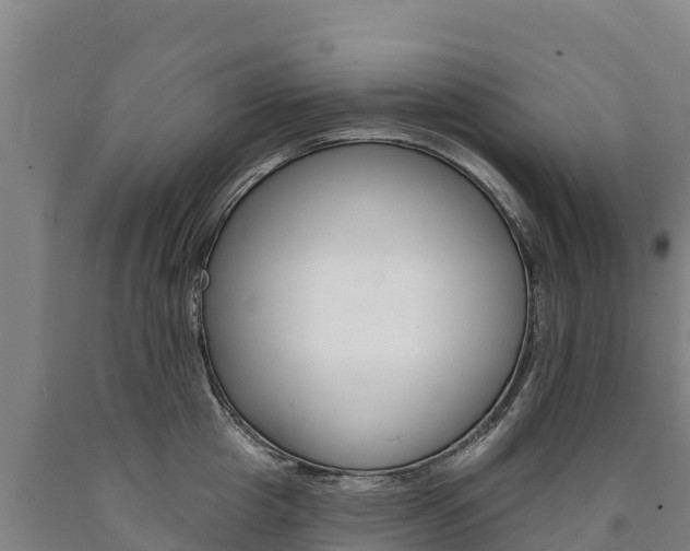 X0000090930857200707301113