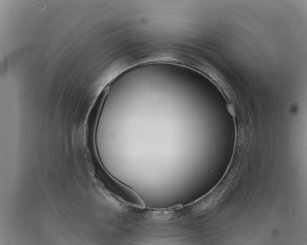 X0000090930858200707301113