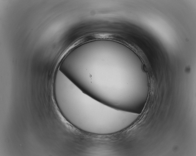 X0000090930861200707301113