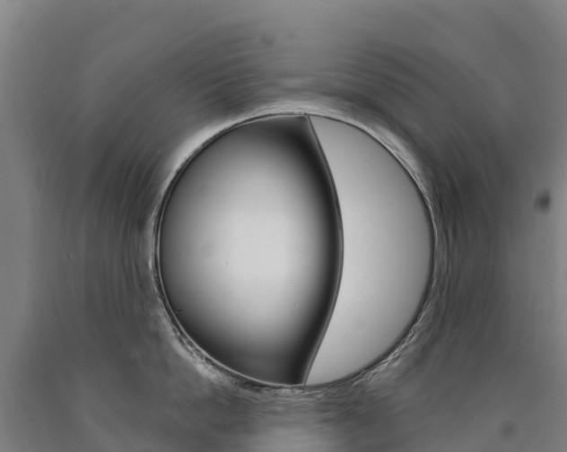 X0000090930862200707301113