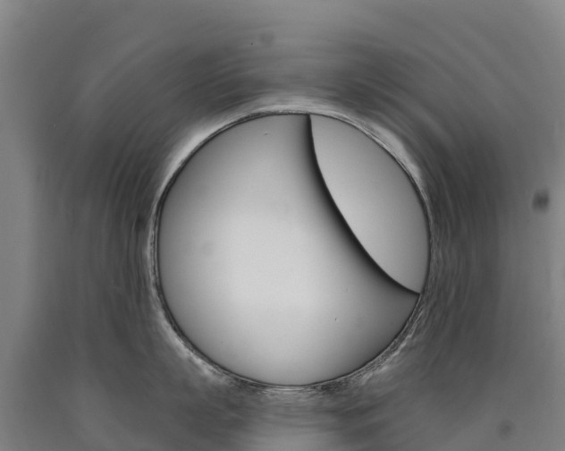 X0000090930863200707301113
