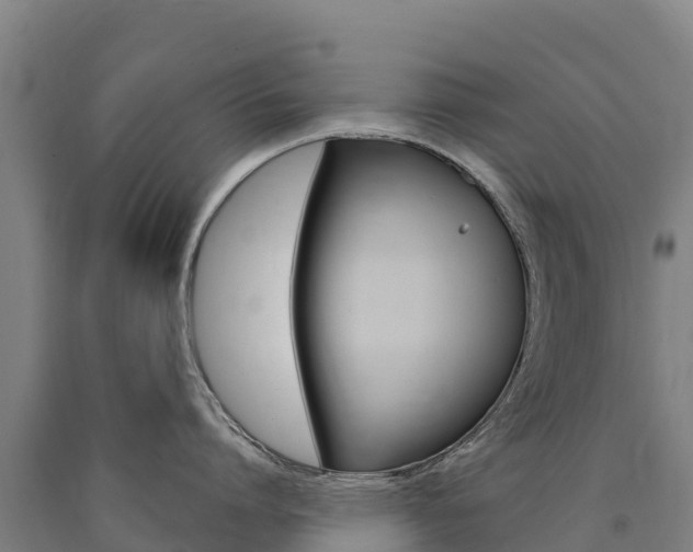 X0000090930864200707301113