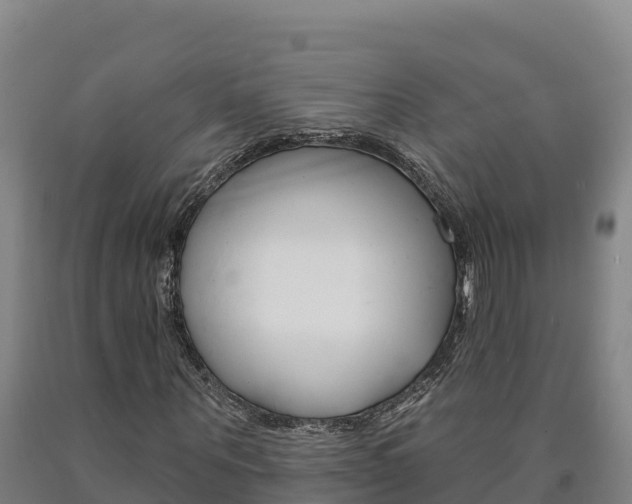 X0000090930867200707301113