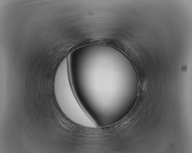 X0000090930868200707301113
