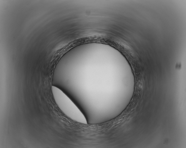 X0000090930869200707301113