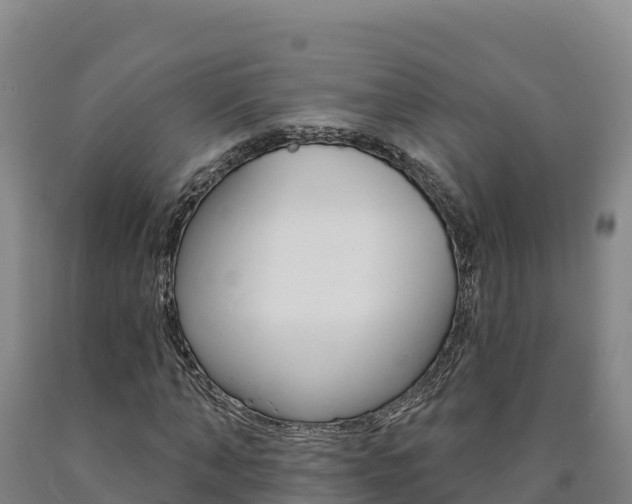 X0000090930870200707301113