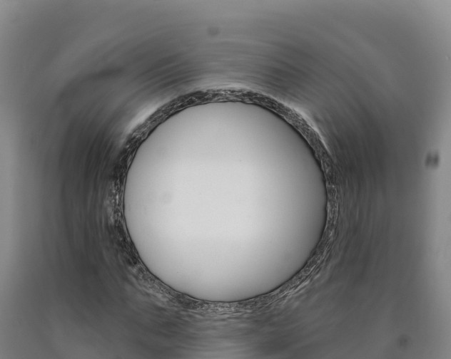 X0000090930871200707301113
