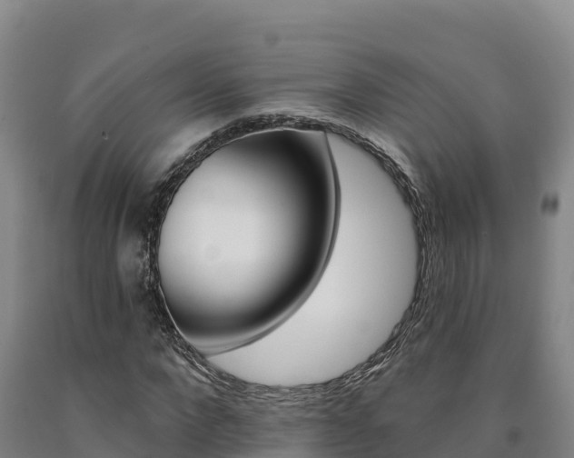 X0000090930872200707301113