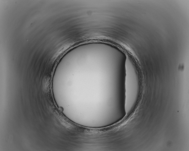 X0000090930873200707301113