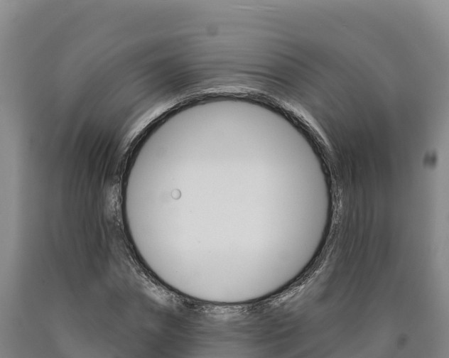 X0000090930874200707301112