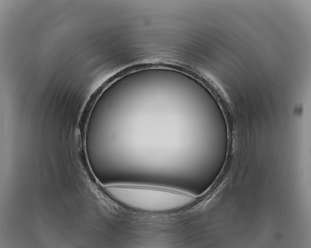 X0000090930876200707301112