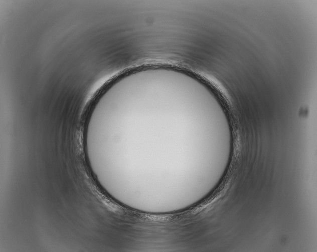 X0000090930878200707301112