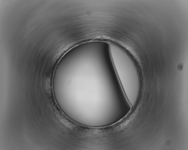 X0000090930881200707301112