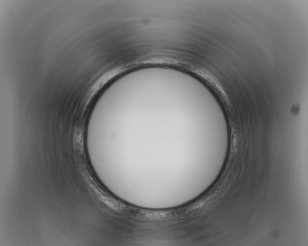 X0000090930882200707301112