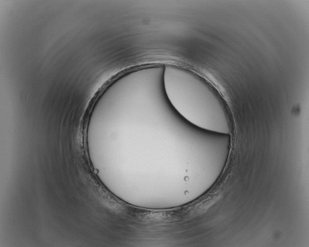 X0000090930883200707301112