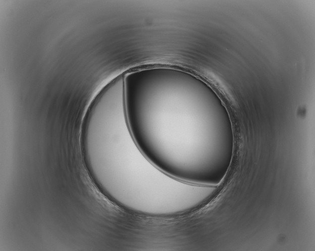 X0000090930884200707301112