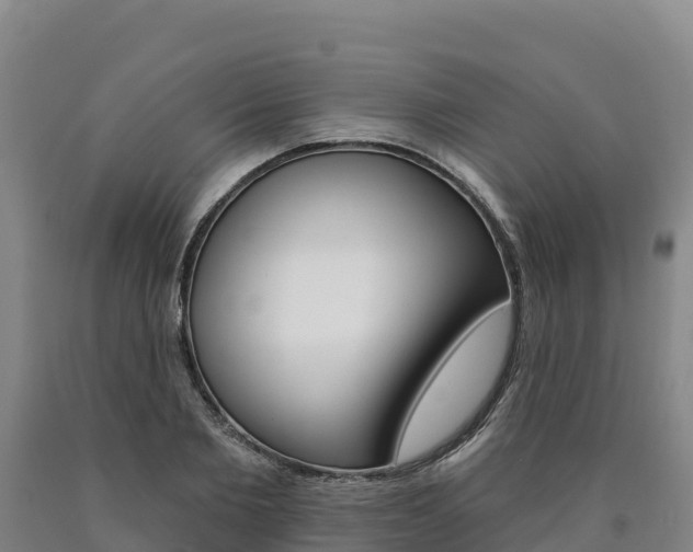 X0000090930885200707301112
