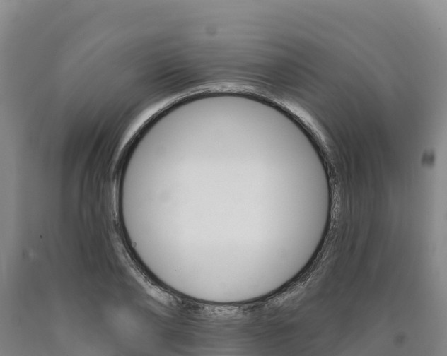 X0000090930886200707301112