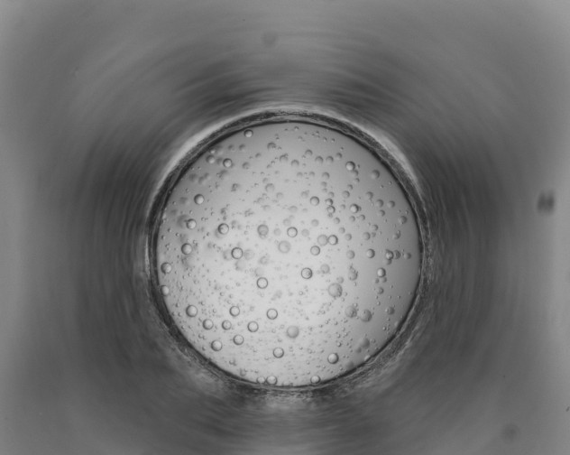 X0000090930887200707301112