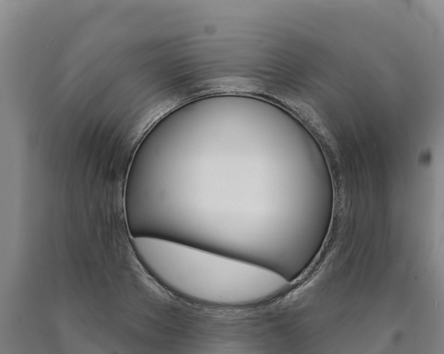 X0000090930889200707301112