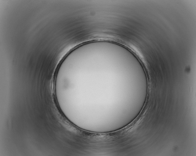 X0000090930891200707301112