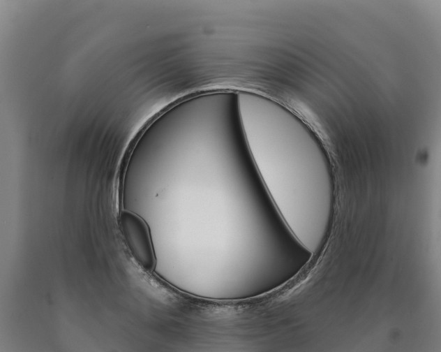 X0000090930892200707301112