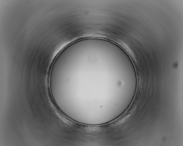 X0000090930893200707301112