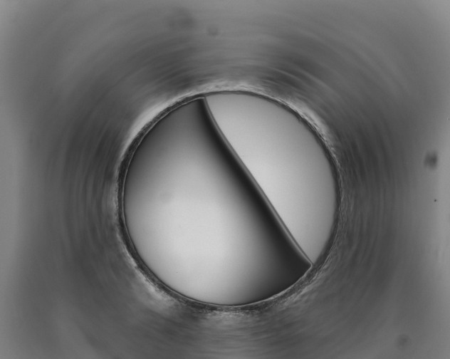 X0000090930894200707301112