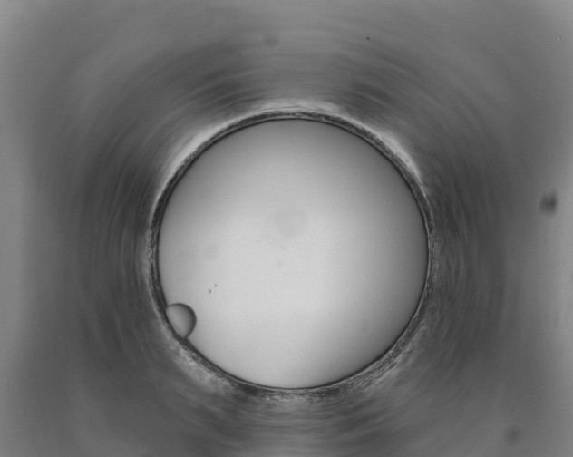 X0000090930895200707301112
