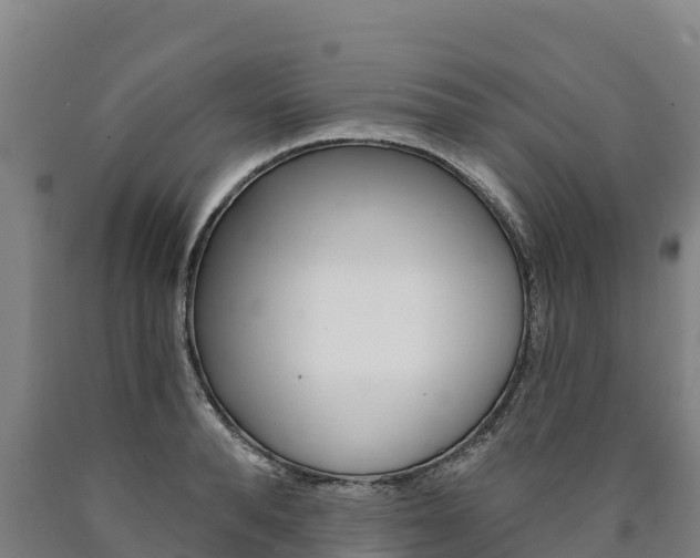 X0000090930896200707301112