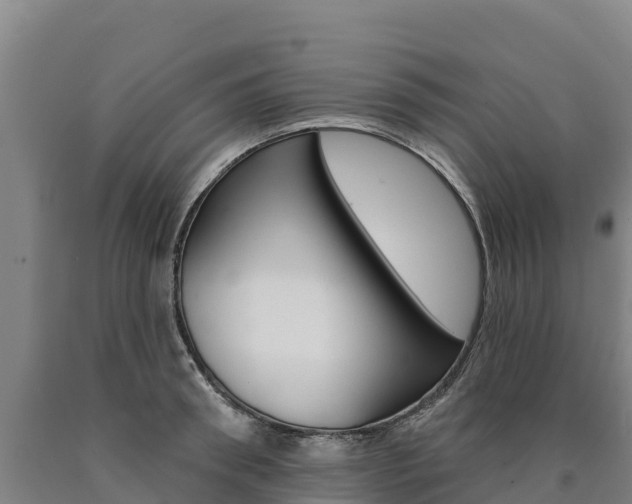 X0000090930898200707301112