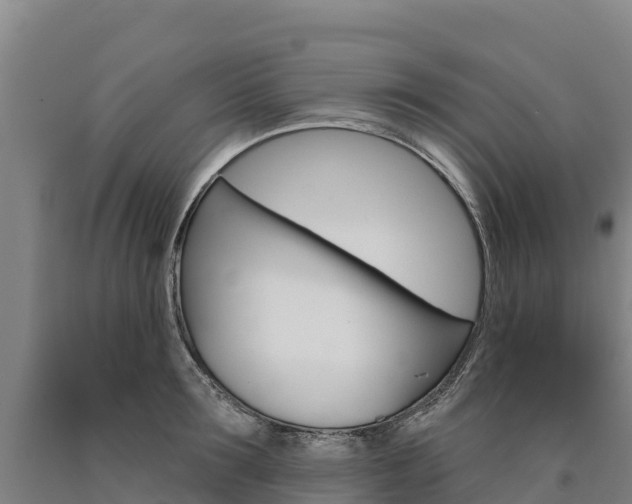 X0000090930899200707301112