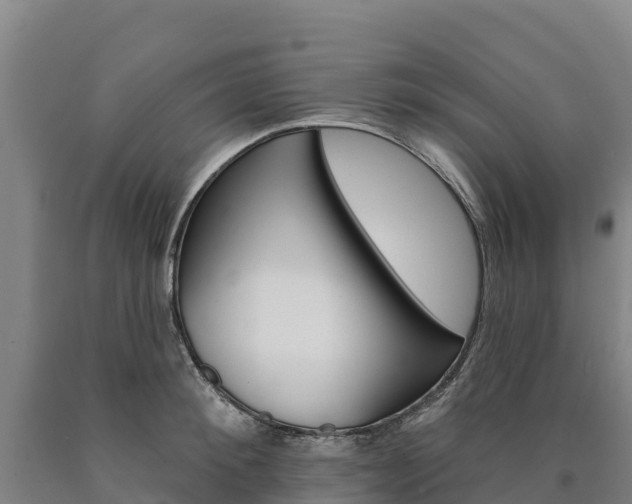 X0000090930900200707301112