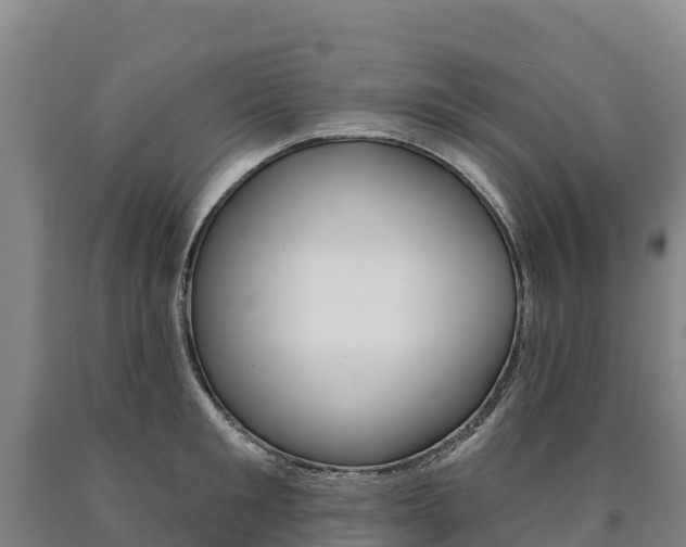 X0000090930901200707301112