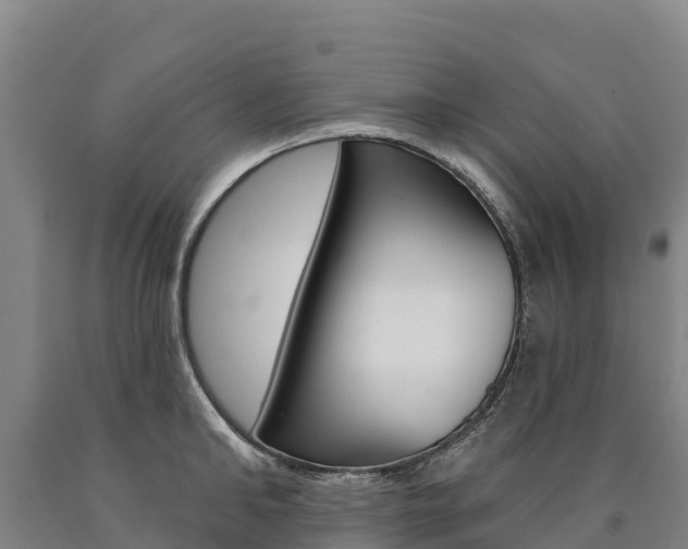 X0000090930902200707301112