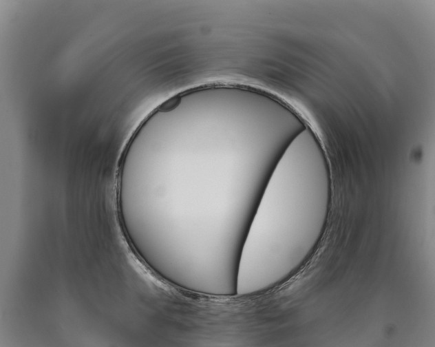 X0000090930903200707301112