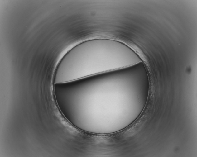 X0000090930904200707301112
