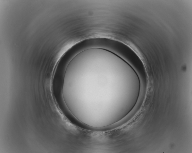 X0000090930909200707301112