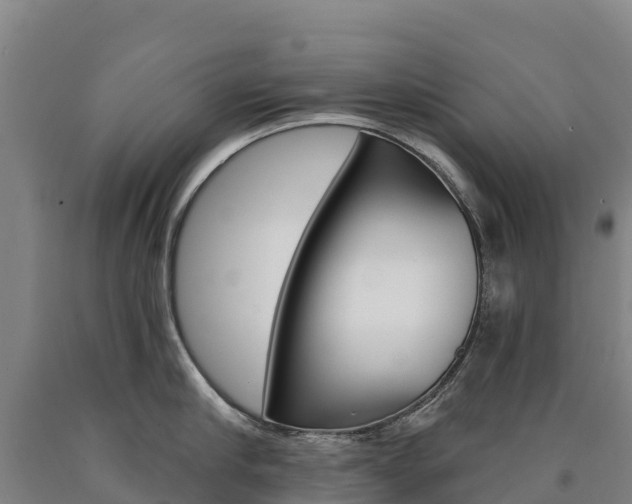 X0000090930910200707301112