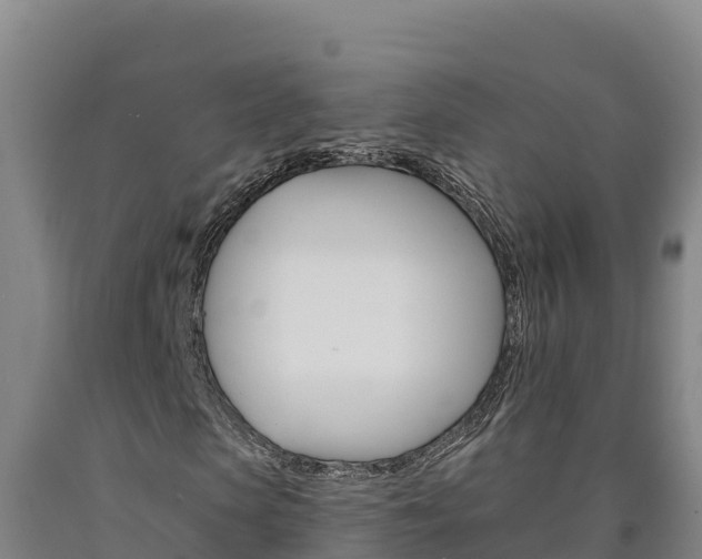 X0000090930913200707301111