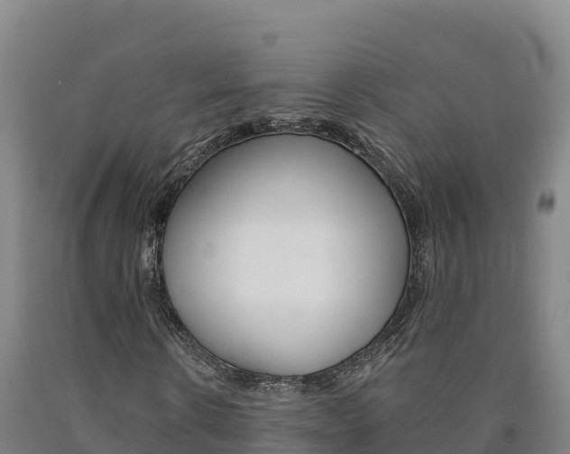 X0000090930914200707301111