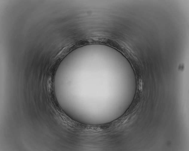 X0000090930915200707301111