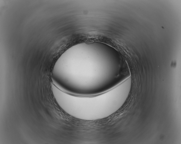 X0000090930916200707301111