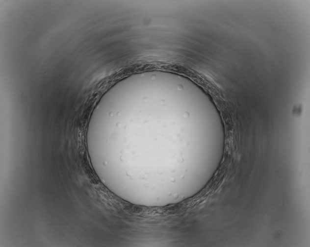 X0000090930917200707301111