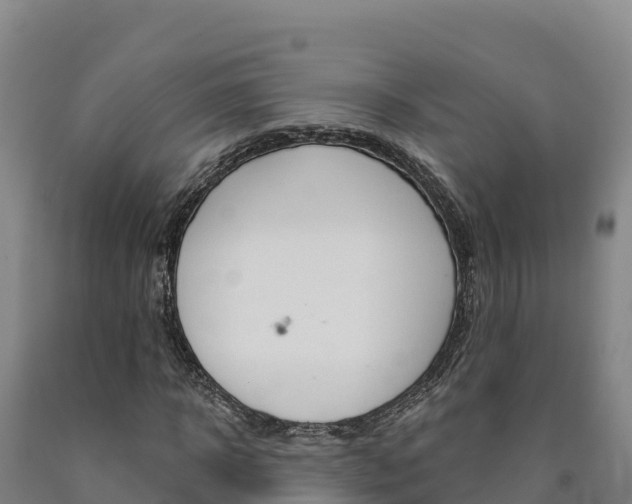 X0000090930918200707301111