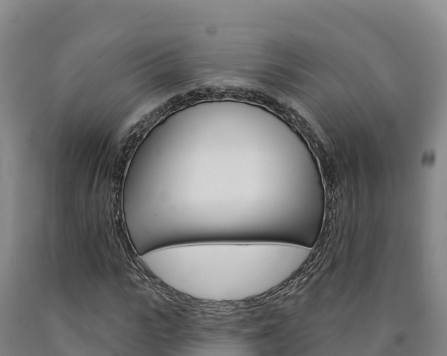 X0000090930919200707301111